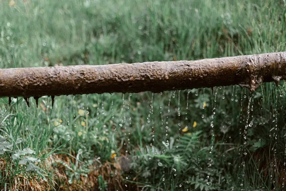 Our leak detection process